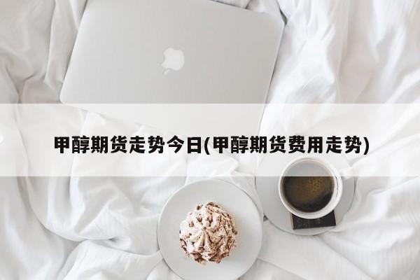 甲醇期货走势今日(甲醇期货费用走势)
