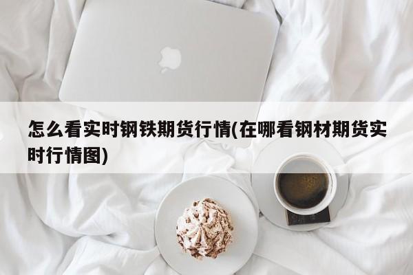 怎么看实时钢铁期货行情(在哪看钢材期货实时行情图)