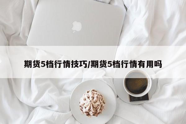 期货5档行情技巧/期货5档行情有用吗