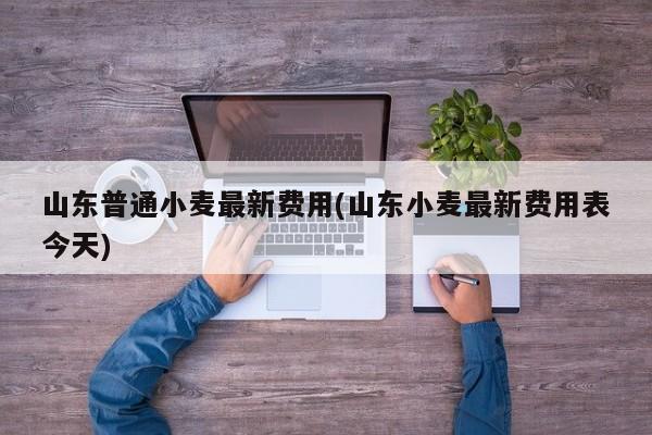 山东普通小麦最新费用(山东小麦最新费用表今天)