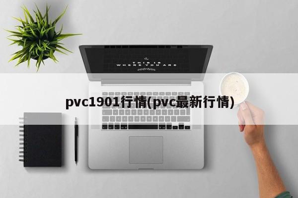pvc1901行情(pvc最新行情)