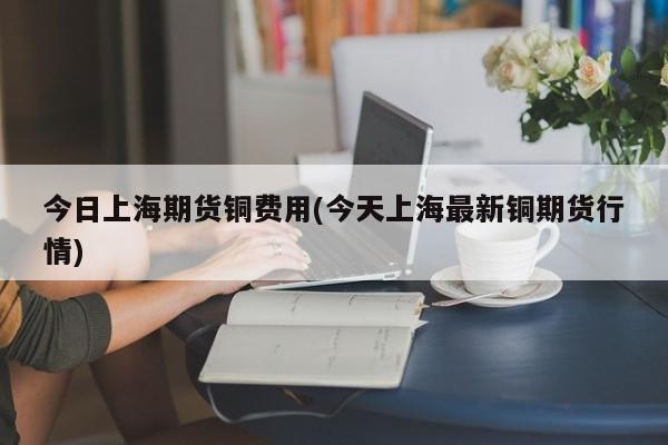 今日上海期货铜费用(今天上海最新铜期货行情)