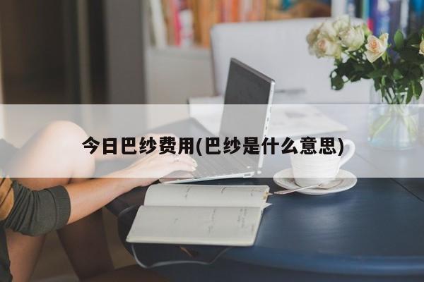 今日巴纱费用(巴纱是什么意思)