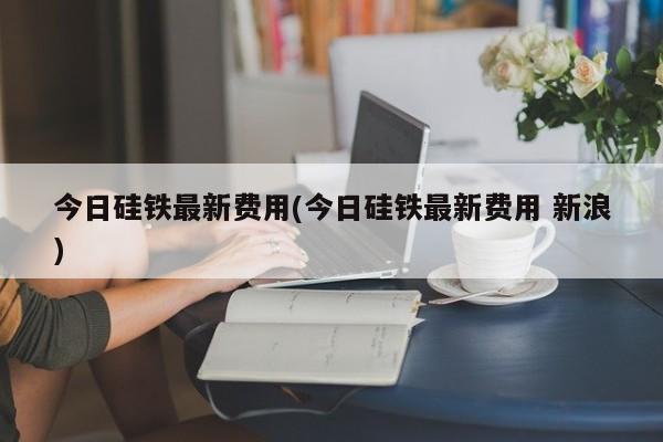 今日硅铁最新费用(今日硅铁最新费用 新浪)