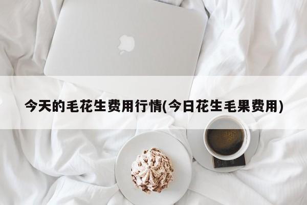今天的毛花生费用行情(今日花生毛果费用)