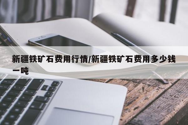 新疆铁矿石费用行情/新疆铁矿石费用多少钱一吨