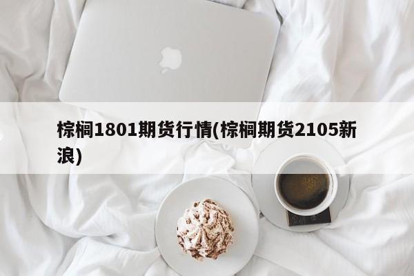 棕榈1801期货行情(棕榈期货2105新浪)