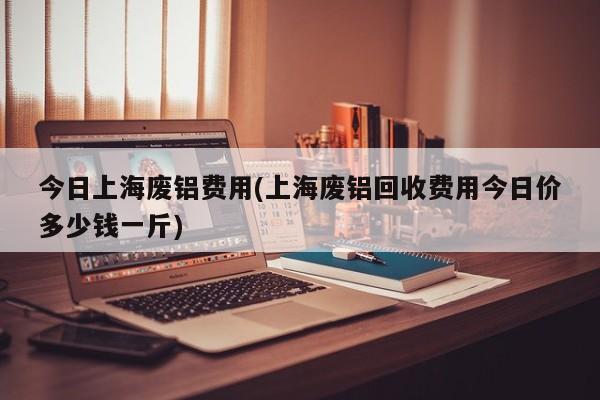 今日上海废铝费用(上海废铝回收费用今日价多少钱一斤)