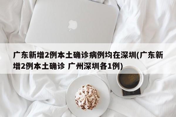 广东新增2例本土确诊病例均在深圳(广东新增2例本土确诊 广州深圳各1例)